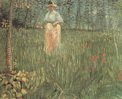 Vincent Van Gogh A Woman Walking in a Garden (nn04) France oil painting art